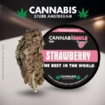 SP1006-1_cannabis_cbd_STRAWBERRY