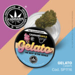 CBD Gelato 1g