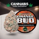 Orange bud CBD