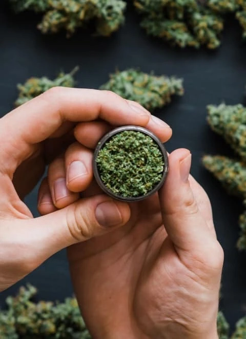 hemp in the grinder