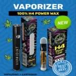 H4 Vaporizer + cartridge