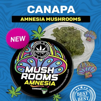 H4 Mushrooms Amnesia 1g
