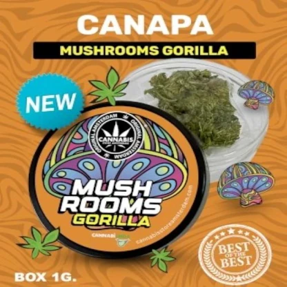 H4 Mushroom Gorilla