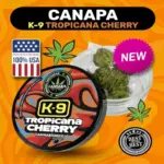 K9 Tropicana Cherry